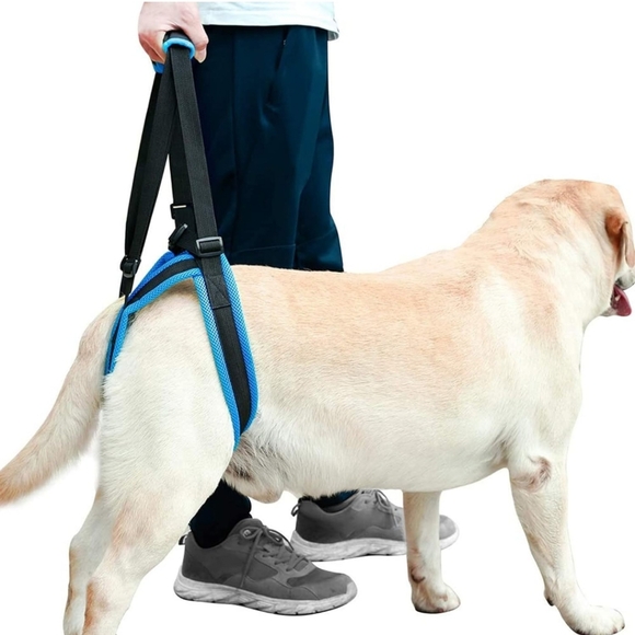 ROZKITCH Pet Dog Support Harness - Picture 1 of 7